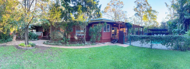 Photo - 169 Rickertt Road, Ransome QLD 4154 - Image 15