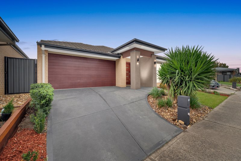 Photo - 169 Selandra Boulevard, Clyde North VIC 3978 - Image 17