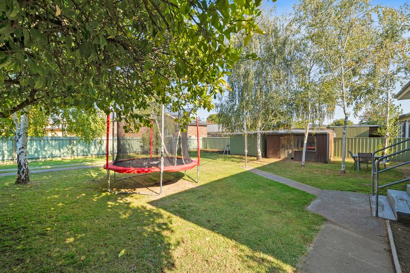 Photo - 169 Standish Street, Myrtleford VIC 3737 - Image 10