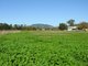 Photo - 1691 Christmas Creek Rd , Hillview QLD 4285 - Image 15