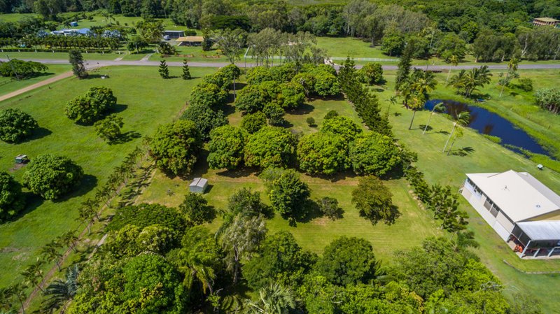 Photo - 1691 Conway Road, Conway QLD 4800 - Image 16