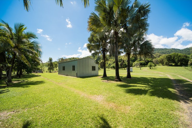 Photo - 1691 Conway Road, Conway QLD 4800 - Image 18