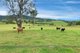 Photo - 1691 Waukivory Road 'Ivory Downs' , Gloucester NSW 2422 - Image 20