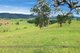 Photo - 1691 Waukivory Road 'Ivory Downs' , Gloucester NSW 2422 - Image 22