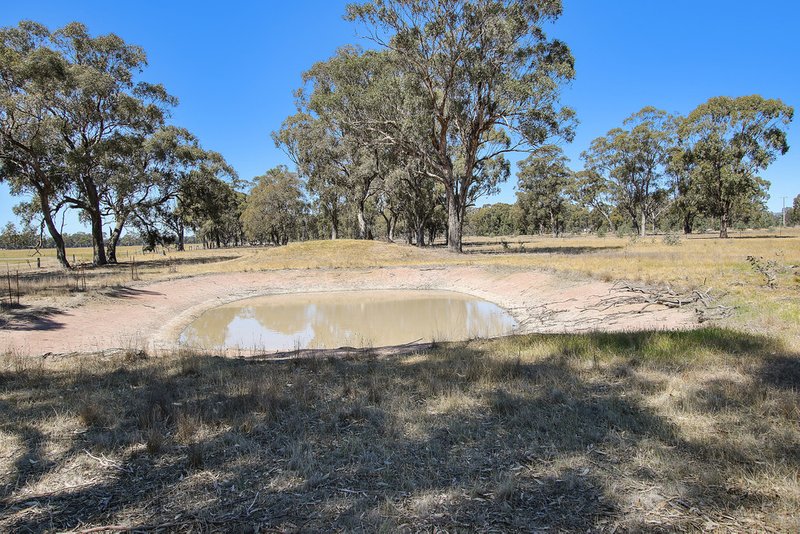 Photo - 1697 Arcadia Two Chain Road, Euroa VIC 3666 - Image 4