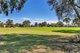 Photo - 16A Manoora Street, Greenacres SA 5086 - Image 12