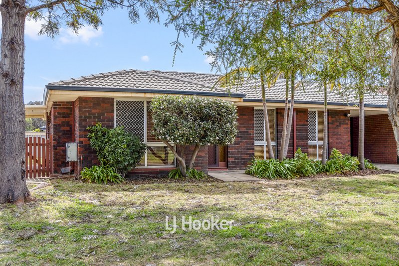 Photo - 16A Palmerston Street, Carey Park WA 6230 - Image 2