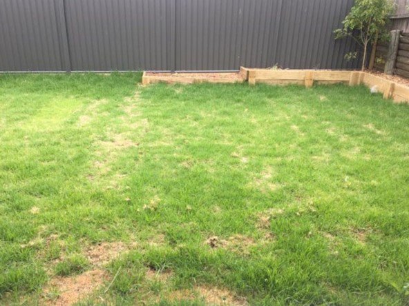 Photo - 16a Tobruk Road, Narellan Vale NSW 2567 - Image 10