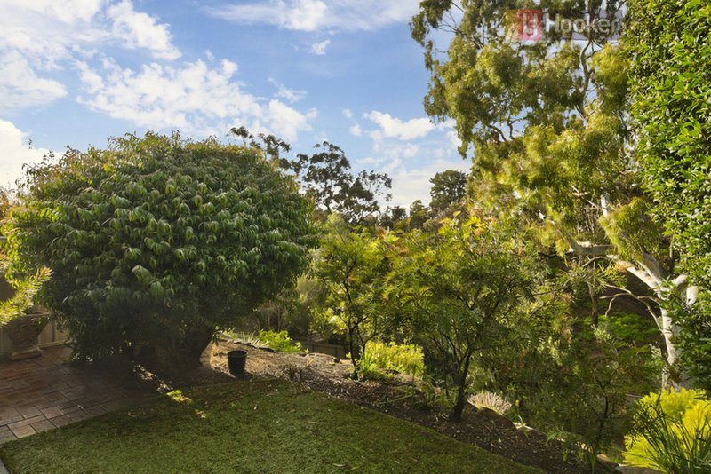 Photo - 16D Mann Street, Seacliff Park SA 5049 - Image 14