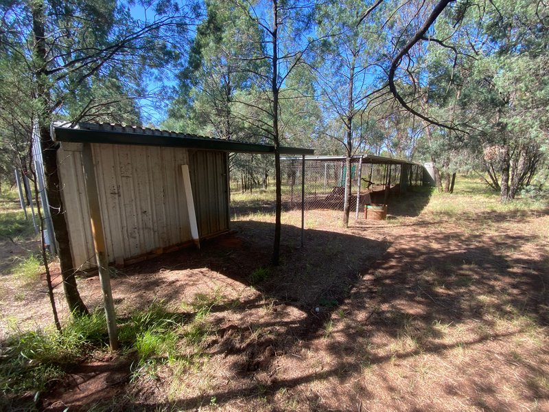 Photo - 16R Thornwood Road, Dubbo NSW 2830 - Image 9