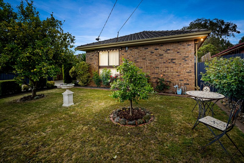 Photo - 17 Aberdeen Drive, Dandenong North VIC 3175 - Image 13