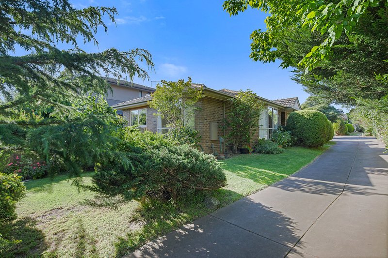 17 Adelaide Avenue, Mount Waverley VIC 3149