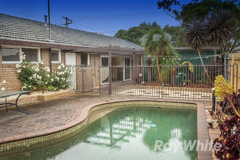 Photo - 17 Ainslie Drive, Wheelers Hill VIC 3150 - Image 10