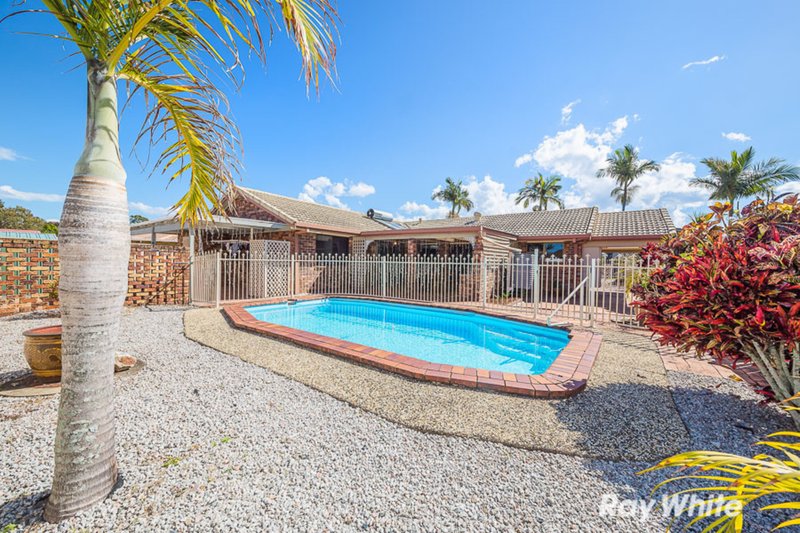 Photo - 17 Allamanda Drive, Bongaree QLD 4507 - Image 3