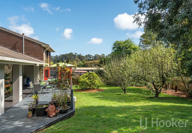 Photo - 17 Ambleside Place, Ambleside TAS 7310 - Image 13