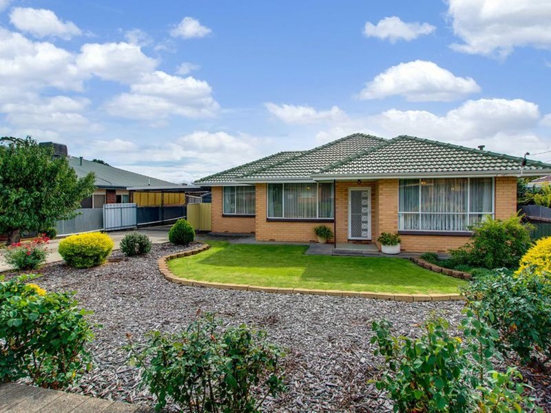 17 Andrea Avenue, Newton SA 5074