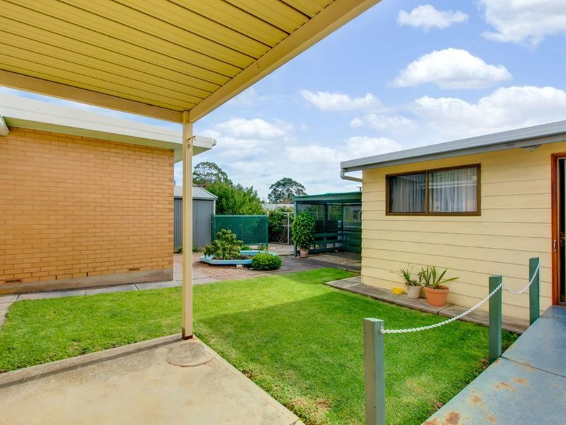 Photo - 17 Andrea Avenue, Newton SA 5074 - Image 11