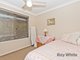 Photo - 17 Appledore Street, Bracken Ridge QLD 4017 - Image 14