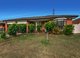 Photo - 17 Aquamarine Court, St Albans VIC 3021 - Image 1