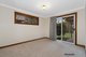 Photo - 17 Arabilia Street, Holland Park QLD 4121 - Image 5