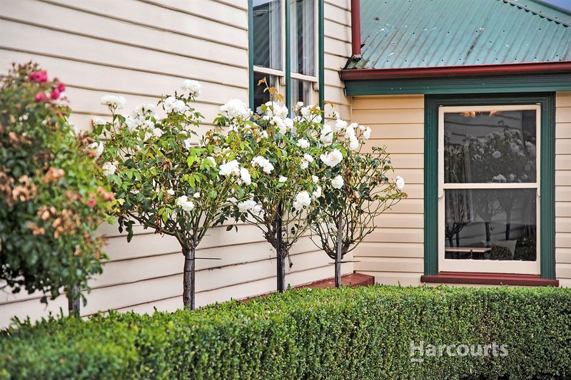 Photo - 17 Argyle Street, Upper Burnie TAS 7320 - Image 20