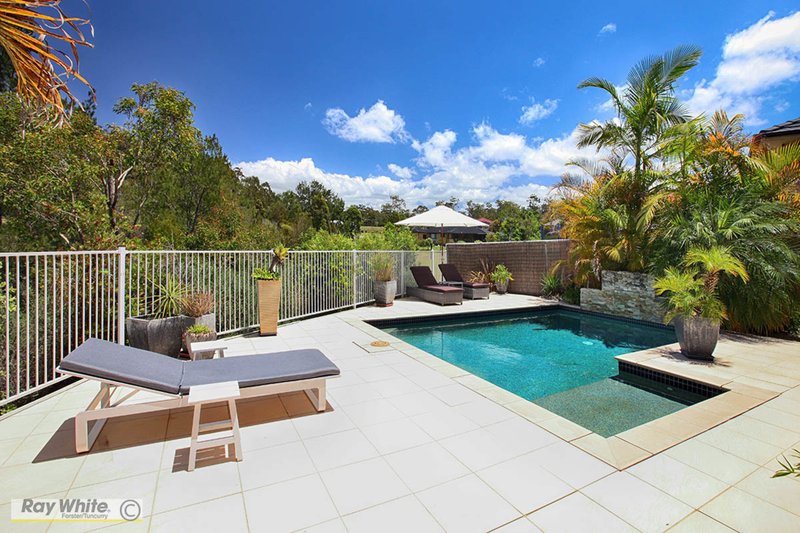 Photo - 17 Barber Close, Tallwoods Village NSW 2430 - Image 9