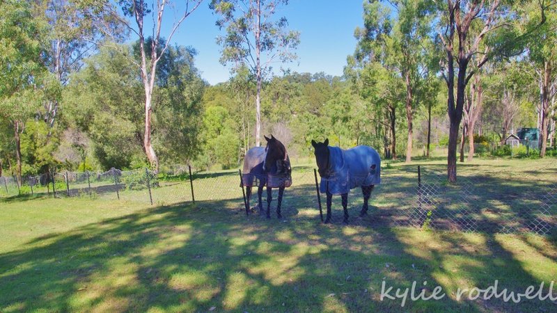 Photo - 17 Barker Pl , Kooralbyn QLD 4285 - Image 2