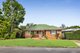 Photo - 17 Barmore Street, Tarragindi QLD 4121 - Image 1