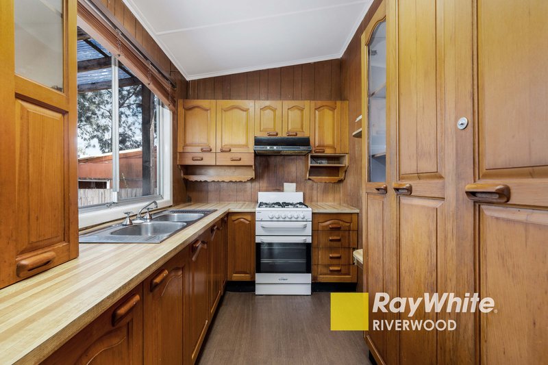 Photo - 17 Belgium Street, Riverwood NSW 2210 - Image 6