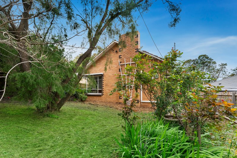 Photo - 17 Blossom Street, Mitcham VIC 3132 - Image 2