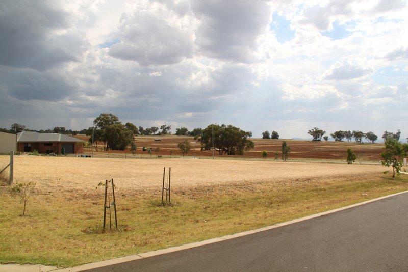 Photo - 17 Blue Gum Road, Tamworth NSW 2340 - Image 3