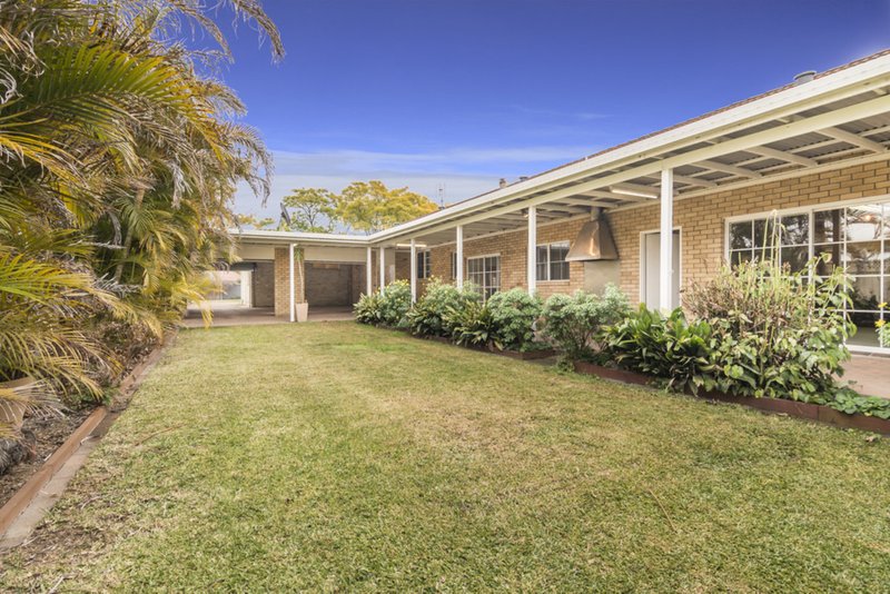 Photo - 17 Boundary Street, Singleton NSW 2330 - Image 2