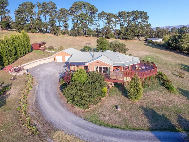 Photo - 17 Burton Street, Hillwood TAS 7252 - Image 4