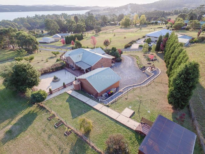 Photo - 17 Burton Street, Hillwood TAS 7252 - Image 5