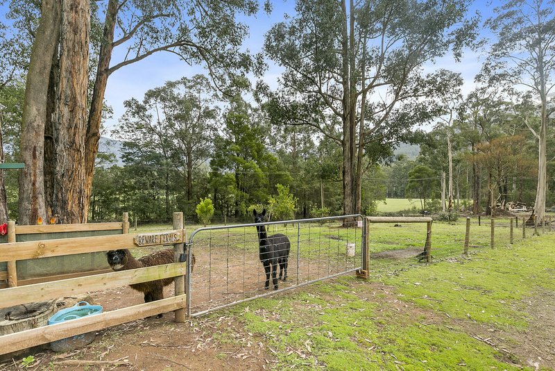 Photo - 17 Callop Street, East Warburton VIC 3799 - Image 3