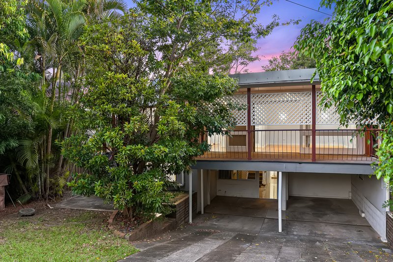 Photo - 17 Camelia Avenue, Everton Hills QLD 4053 - Image 16