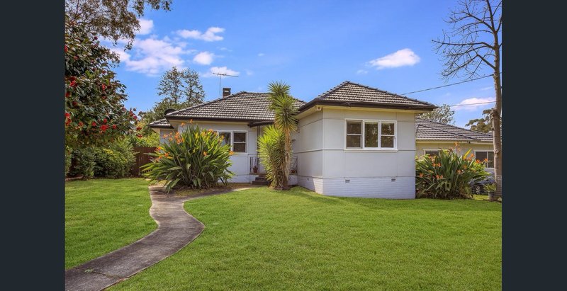 Photo - 17 Campbell , Northmead NSW 2152 - Image 1