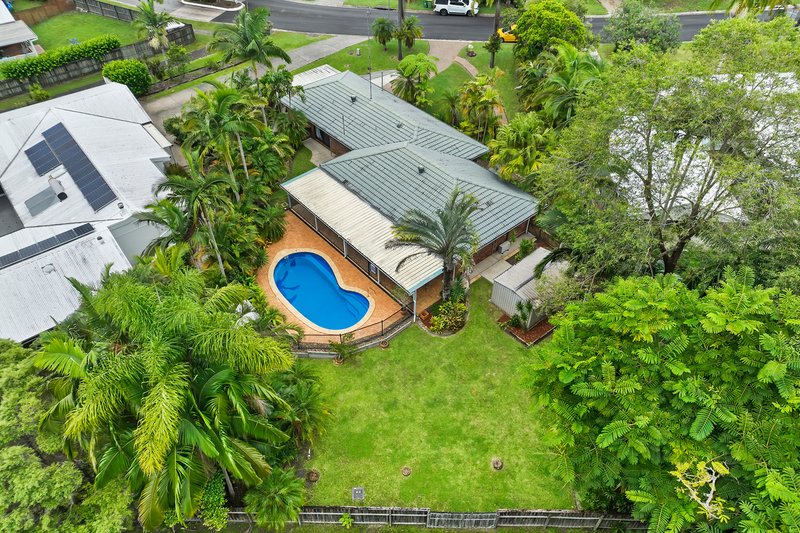 Photo - 17 Carramar Street, Tewantin QLD 4565 - Image 3