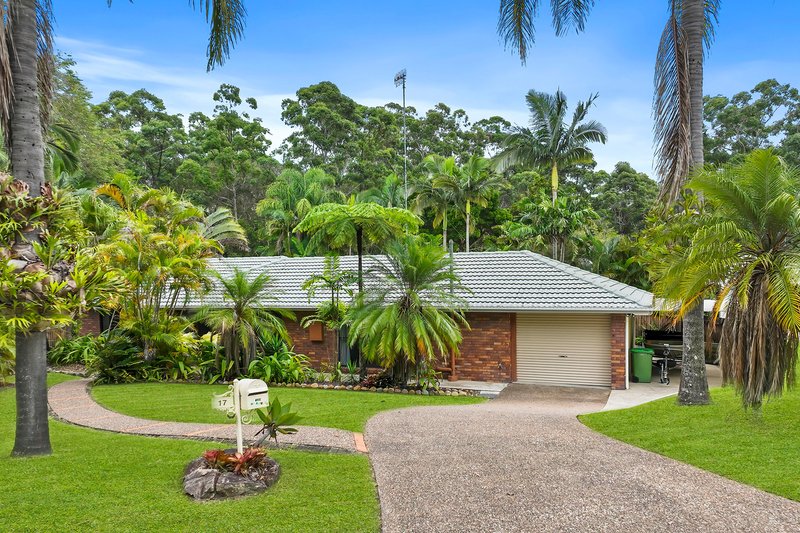 Photo - 17 Carramar Street, Tewantin QLD 4565 - Image 4