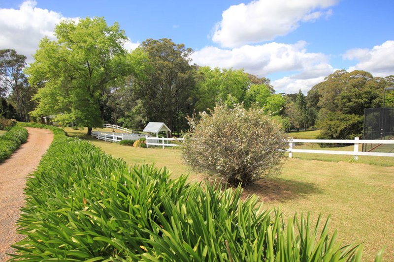 Photo - 17 Carrs Road, Galston NSW 2159 - Image 3