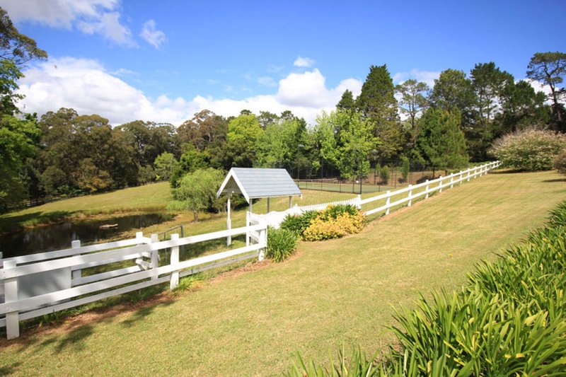 Photo - 17 Carrs Road, Galston NSW 2159 - Image 25