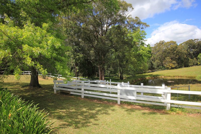 Photo - 17 Carrs Road, Galston NSW 2159 - Image 26