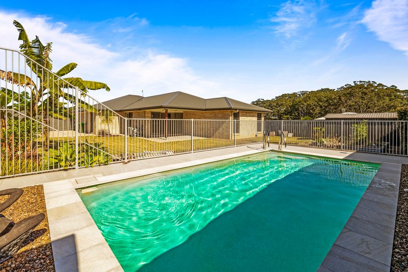 Photo - 17 Citron Place, Palmwoods QLD 4555 - Image 13