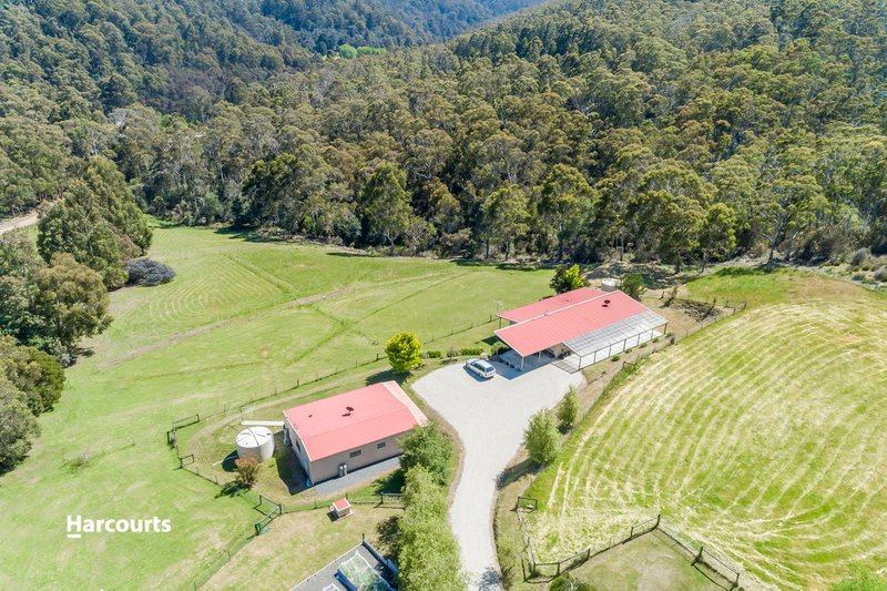 Photo - 17 Constance Road, Cygnet TAS 7112 - Image 6