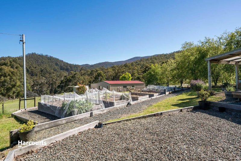 Photo - 17 Constance Road, Cygnet TAS 7112 - Image 16