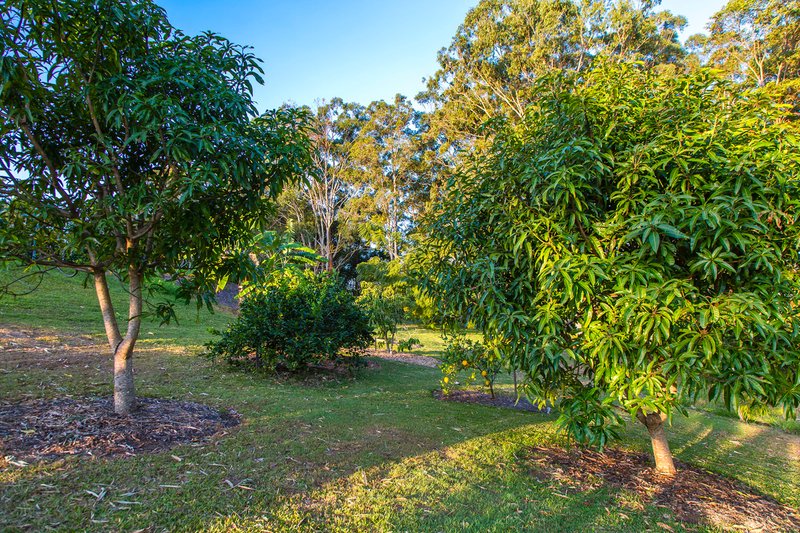 Photo - 17 Coolwater Place, Rosemount QLD 4560 - Image 23