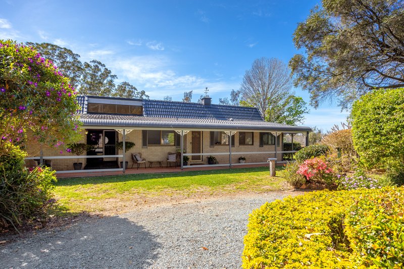 Photo - 17 Darawank Close, Darawank NSW 2428 - Image 30