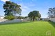 Photo - 17 Ellis Street, Merrylands NSW 2160 - Image 12