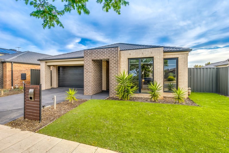 Photo - 17 Elsmore Street, Tarneit VIC 3029 - Image 2