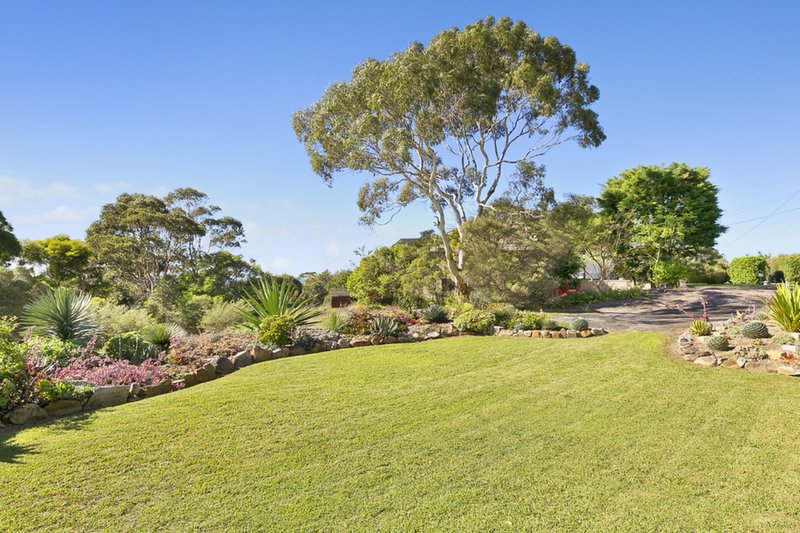 Photo - 17 Eltham Street, Beacon Hill NSW 2100 - Image 8